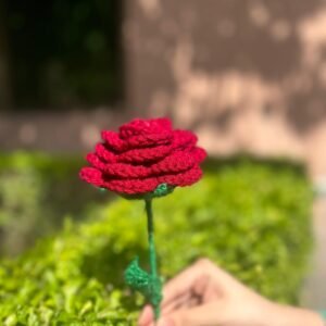 Red Rose